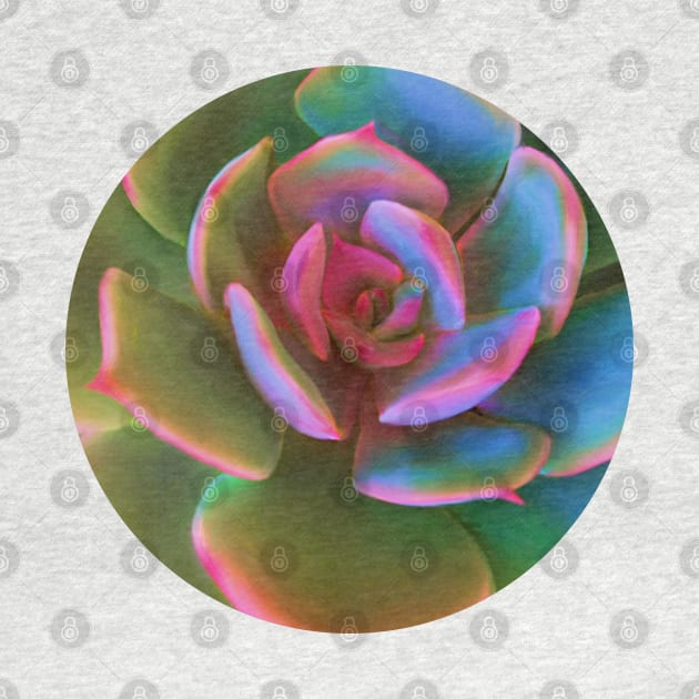 Pink Succulent by artbysavi